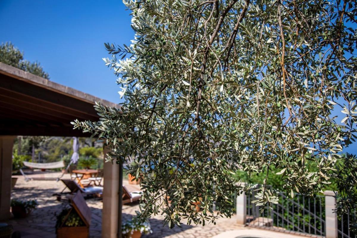 Finca Rural Es Pujol سويير المظهر الخارجي الصورة