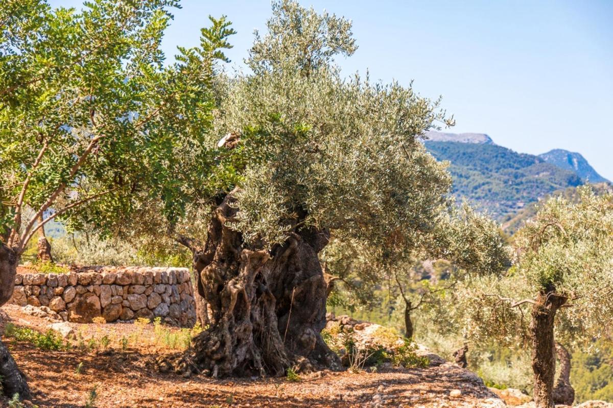 Finca Rural Es Pujol سويير المظهر الخارجي الصورة